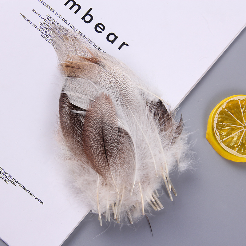 厂家批发珍珠鸡毛彩色羽毛 服装DIY手工工艺品饰品耳环材料野鸡毛详情15