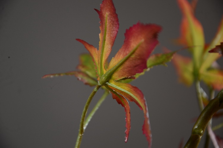 Factory wholesale of artificial flowers, direct sales from the manufacturer, wholesale of artificial green plants, home decoration flowers, red artificial leaves, artificial maple leaves pic 25