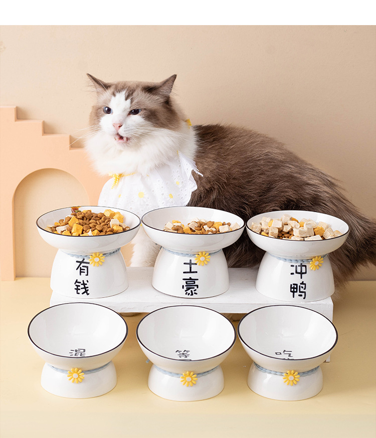 Ceramic cat and dog bowls, pet bowls, creative text, slanted mouth, high feet to protect the cervical vertebrae and prevent black chins, cat and dog food bowls pic 14