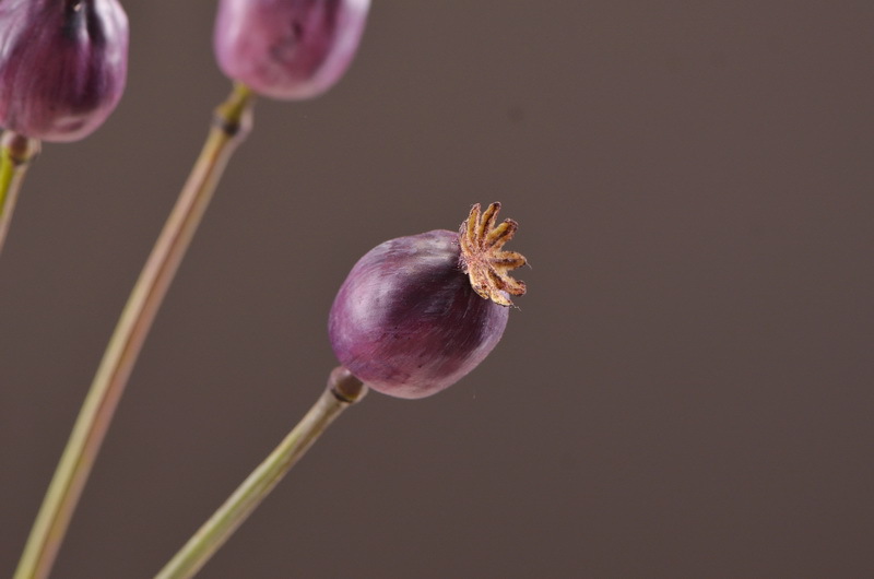 Original factory products, artificial fruits, flower arrangement materials, wabi-sabi style, simple country style, artificial fruits wholesale, artificial flowers pic 6