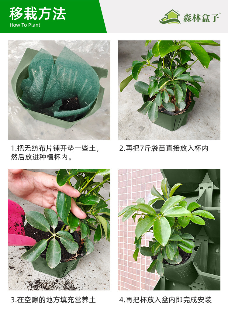5017实拍_14.jpg