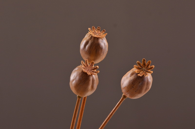 Wholesale of high-end artificial fruits, artificial flowers, photography props, teaching AIDS, dried artificial flowers and flower arrangement materials from the original factory pic 4