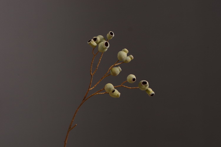 Dongli Flower Industry, the original manufacturer, is now wholeselling vintage decorative pipe fruit artificial flowers, artificial flowers, table flowers, artificial berries, zombie fruits, eucalyptus fruits, and offers one-piece consignment pic 18