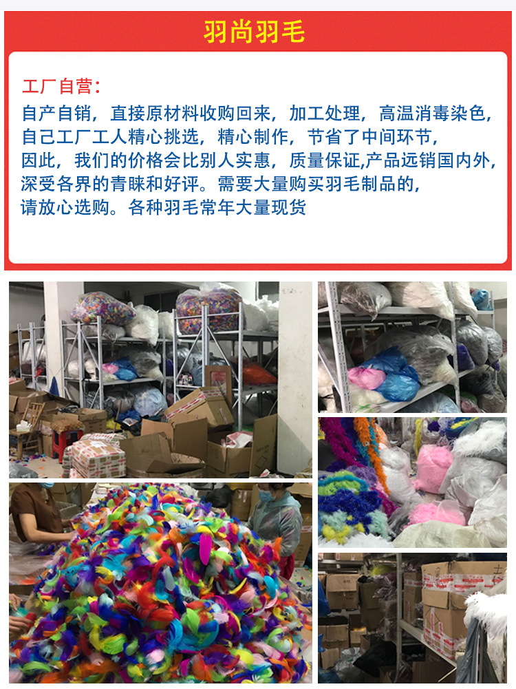 厂家新款珍珠羽毛diy手工羽毛头饰工艺品玩具装饰品材料详情16