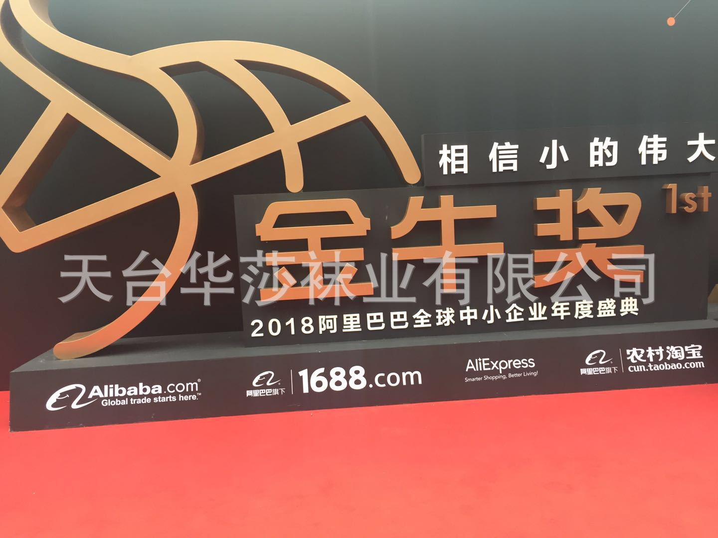 舞蹈袜 儿童舞蹈袜 专业舞蹈袜 芭蕾舞蹈袜可贴牌