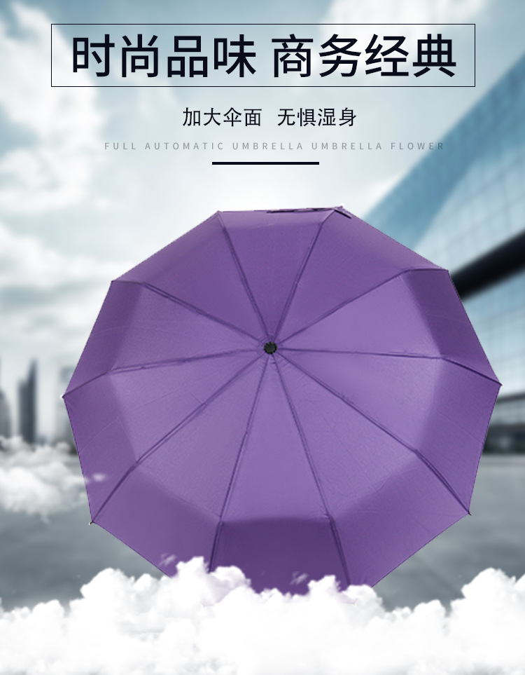 Creative 10-bone fully automatic umbrella advertising gift umbrella, reinforced all-weather business umbrella manufacturer pic 1
