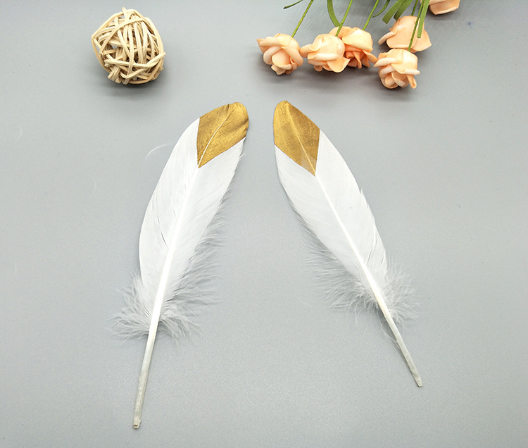 A large quill feather gift box with all-gold and all-silver feathers, paper card bookmarks and decorative quill pens pic 37