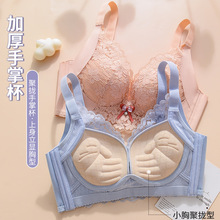 秋季新款蕾丝内衣女士厚薄款无钢圈收副乳调整型舒适聚拢文胸厂家详情5
