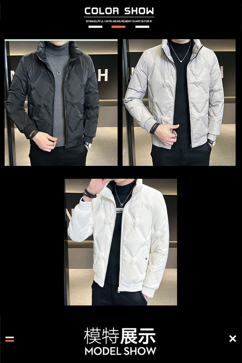 轻薄羽绒服男款高端短款冬季大码立领灰鸭绒外套男士新款潮牌男装详情10