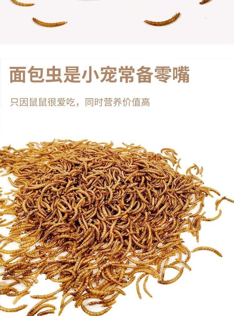 宠物零食面包虫干仓鼠刺猬粮食小龟粮用品主粮鸟零食厂家直销批发详情3