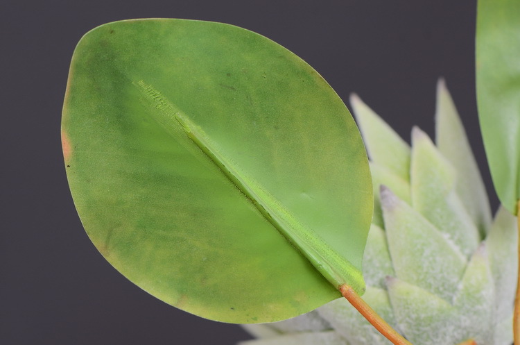 Dongli Flower Industry Factory offers direct sales and wholesale of tropical flowers, including simulated little emperor flowers, Nordic minimalist living room and home decoration simulated flowers, as well as entrance and table flowers pic 16