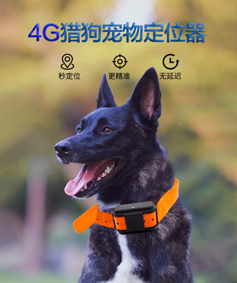 4G GPS定位器猎狗宠物防丢器GPS跟踪器猎狗圈智能定位器详情2