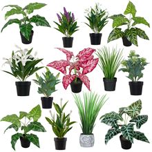 新款亚马逊圆球纸浆仿真盆栽复古风家居桌面仿真绿植假花盆景详情4