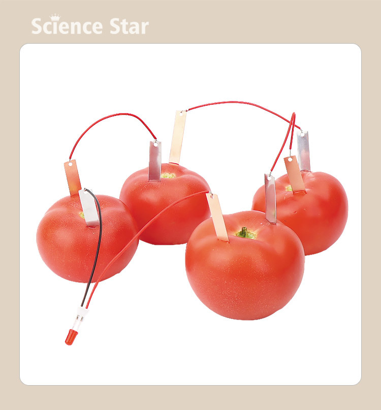 自制水果电池小学生diy科技小制作 锌铜片发电物理实验器材材料包详情9