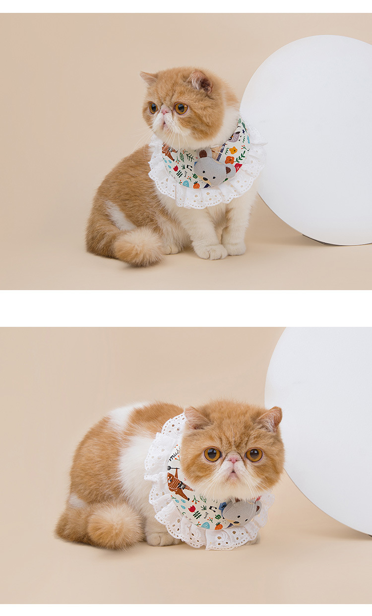 Pet supplies, pet supplies, direct sales from pet supplies manufacturers. Printed canvas collars, dog wipes, lace canvas printed pet wipes pic 10