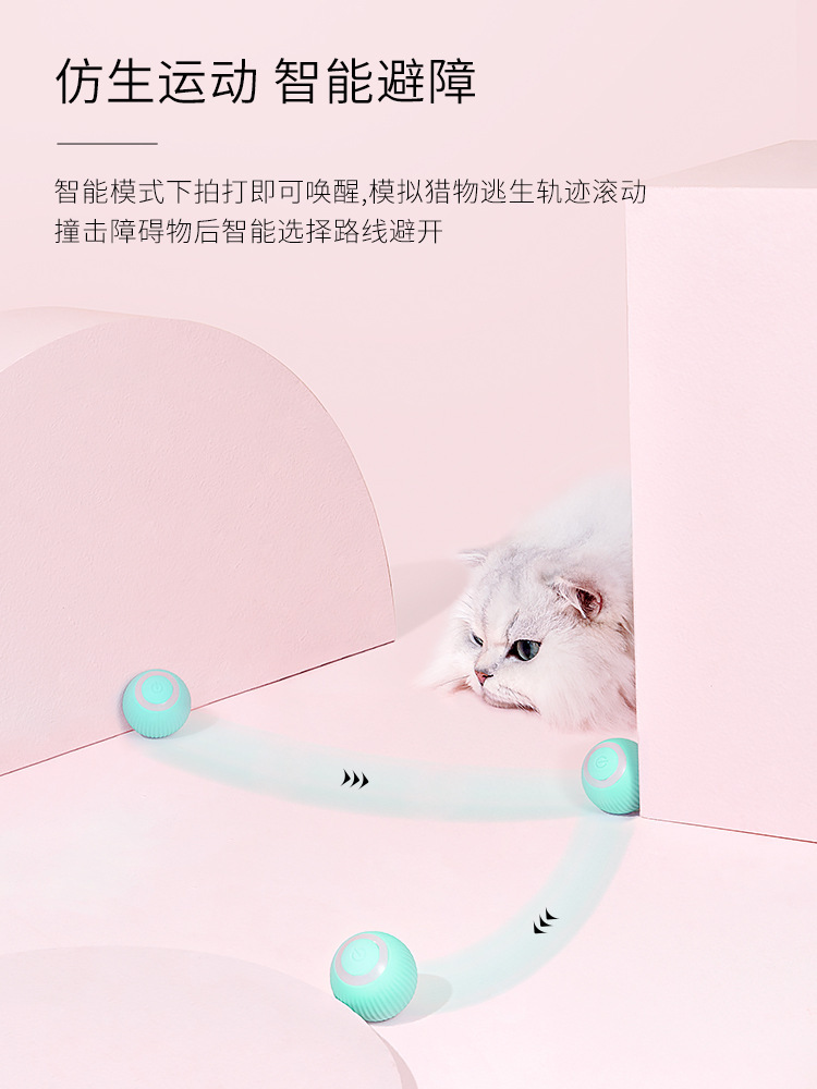 Smart Rolling Ball for Teasing cats pic 1