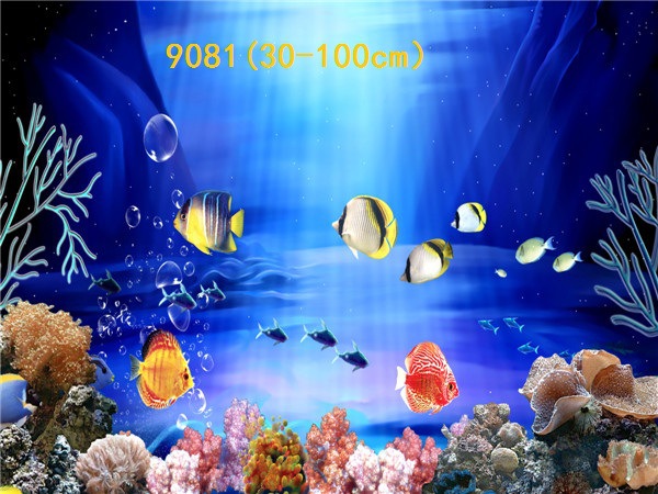Wholesale export of 50cm high background painting, single-sided thin painting, 3D stereoscopic ecological aquarium sticker paper pic 86