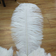 The feather fan is a special prop for the dance performance of the ostrich-colored feather fan used by the palace film crew pic 6