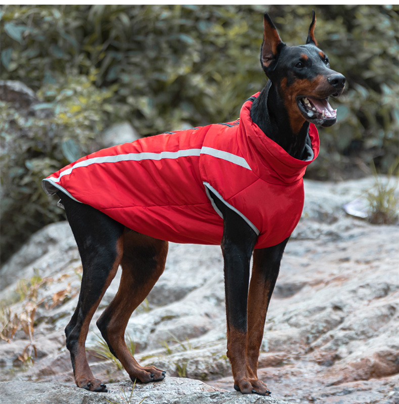 Cross-border pet clothing, reflective large dog windbreaker, warm dog clothes for autumn and winter, pet cotton-padded clothes in stock wholesale 677 pic 12