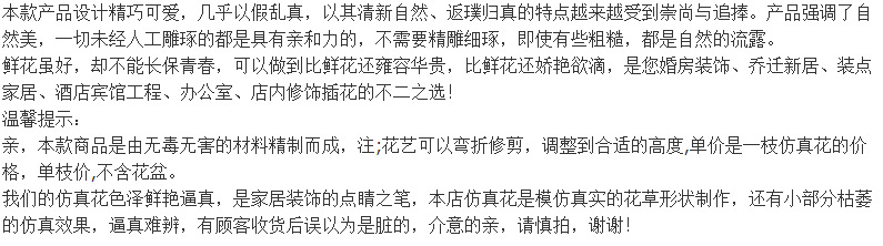 Artificial aloe vera potted plant, mini indoor decoration, artificial tree, artificial small green plant, Nordic artificial green plant ornament, reed pic 24