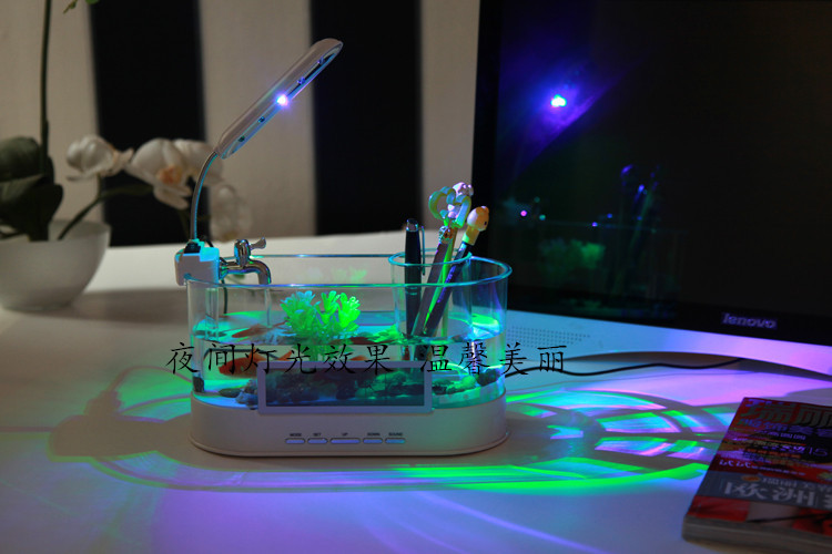 Creative desktop aquarium USB mini small ecological ornamental Golden Dragon fish acrylic fish tank manufacturer wholesale pic 14