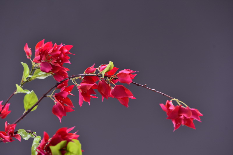 Wholesale of high-end artificial flowers such as long-branch bougainvillea, ins popular soft decoration artificial flowers, hotel lobbies and shopping mall decorations pic 5