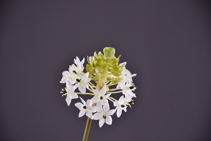 High-end artificial flower wholesale with simulated Bethlehem Star line floral design and simulated velvet decorative artificial flowers pic 6