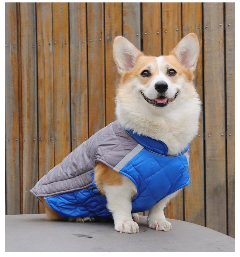 New pet clothing for autumn and winter, reflective and warm pet cotton-padded clothes, thickened dog clothes, pet supplies wholesale 689 pic 11