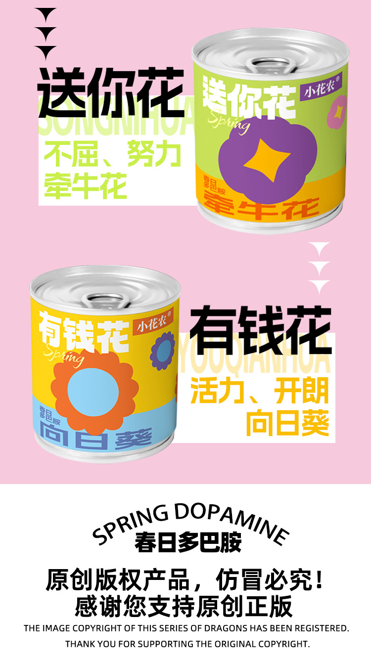 小学生科教玩具春天儿童种植迷你小盆栽花卉室内桌面种花易拉罐头详情2