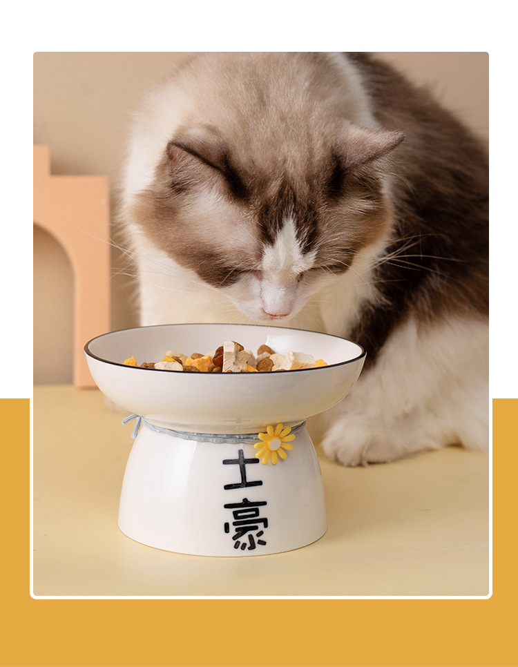 Ceramic cat and dog bowls, pet bowls, creative text, slanted mouth, high feet to protect the cervical vertebrae and prevent black chins, cat and dog food bowls pic 11