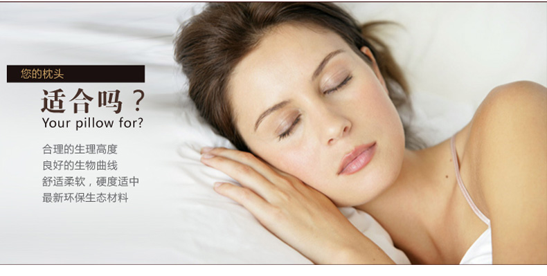 Shefan white goose down pillow core, three-layer craft down pillow core from a five-star hotel pic 19