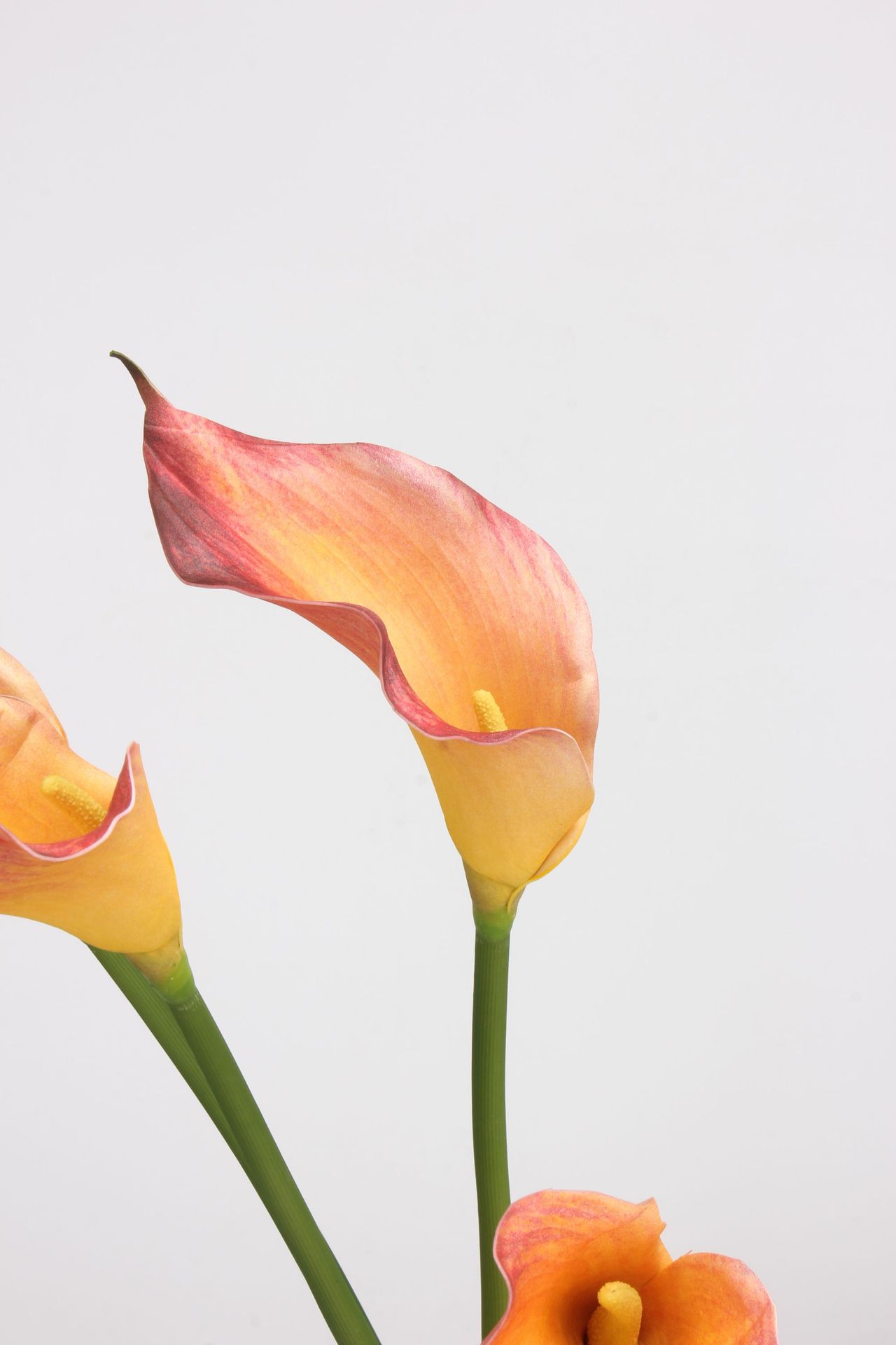 工厂直销 EVA马蹄莲仿真花海芋手感假花单枝婚庆家居插花配材道具详情38