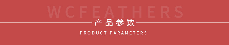 温册羽毛热卖火片布边创意多色火片布边演出服装辅料车载娃娃装饰详情5