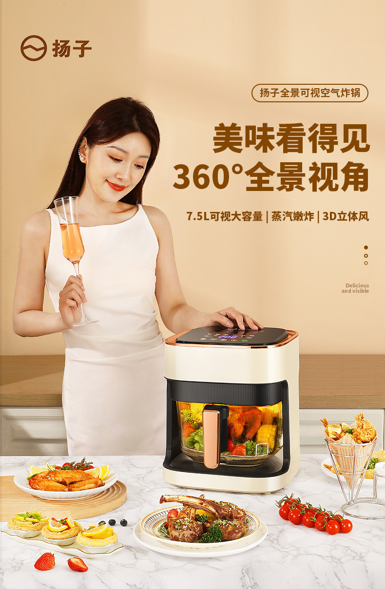 绑定扬子空气炸锅 多功能air fryer可视空气炸锅 家用电炸锅智能批发详情5