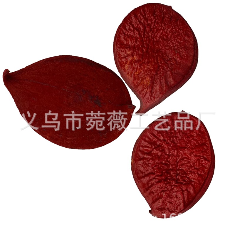 Natural plant dried fruits, small pumpkins, flower arrangements, handicrafts, soft furnishings, grass pic 7