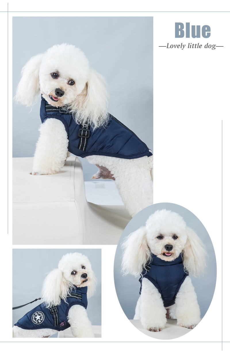 Nueva llegada amazon cross border dog clothing pecho espalda una pieza chaleco de algodón pet cotton clothing winter clothing two feet cotton clothing pic 15
