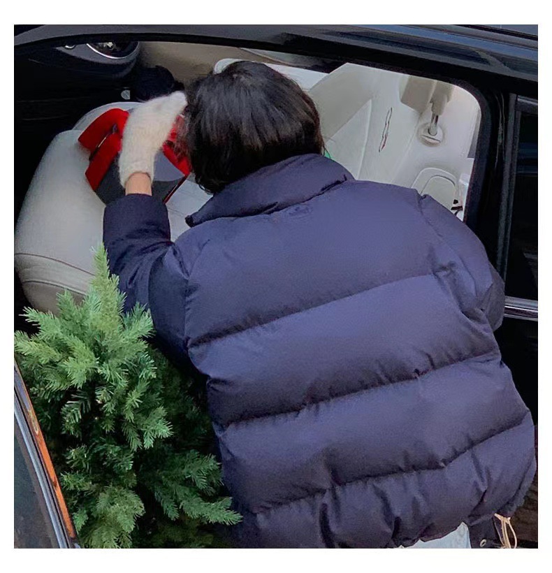 2022 Winter new style of Korean Dongdaemun th*bar*net stand-up collar 90 white duck down down jacket for women in stock pic 23