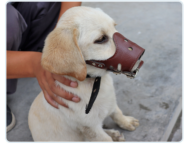 Pet muzzles for safe and anti-biting when going out. High-quality and durable dog muzzles that prevent barking and barking. Pet muzzles pic 11