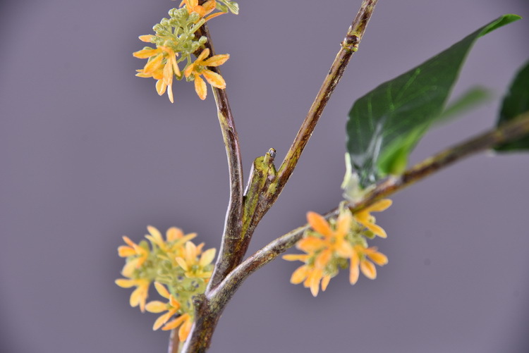 Wholesale artificial yellow osmanthus and laurel, green landscape garden artificial trees, decorative golden osmanthus leaves, home, hotel and homestay artificial flowers pic 48