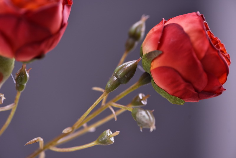 Simulated retro charred edge rose bud home, hotel, banquet table flower, high-end simulated rose, simulated dried flower pic 8