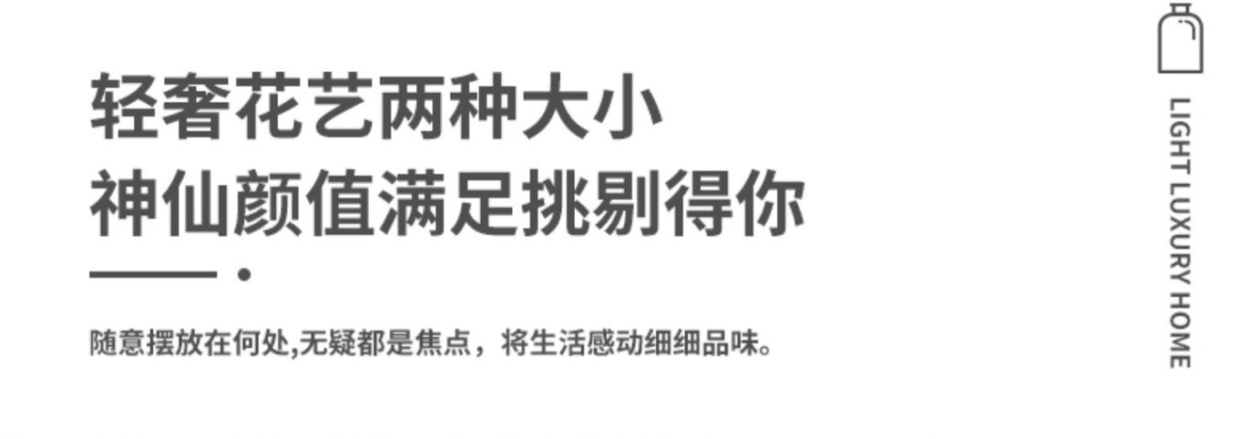 巴卡拉水晶花瓶Baccarat璀璨系列同款插花花瓶摆件北欧家居客厅餐桌装饰摆件详情12