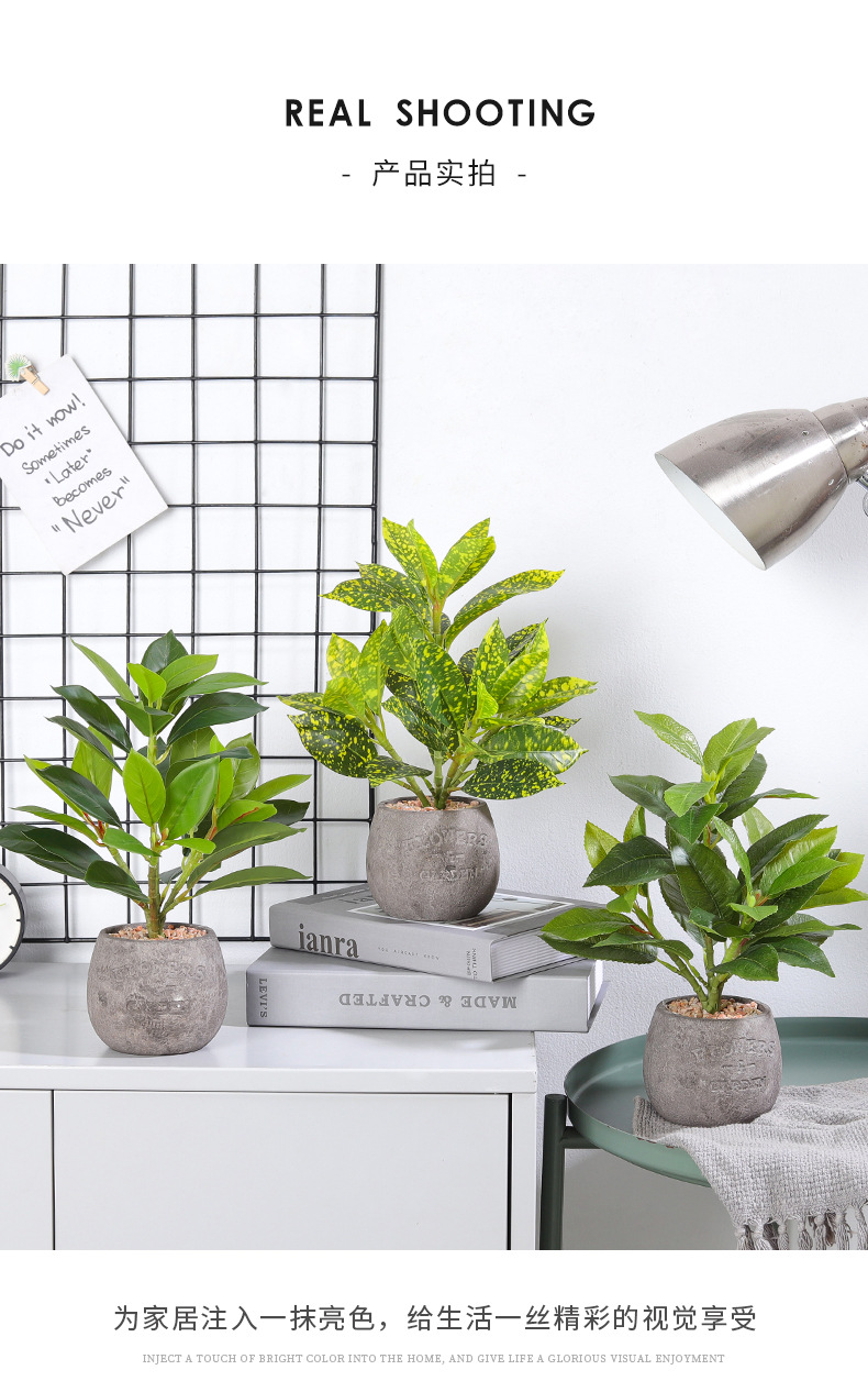 Nordic ins artificial green plant potted cement pot ornaments, living room and office desktop decoration artificial plant bonsai pic 8