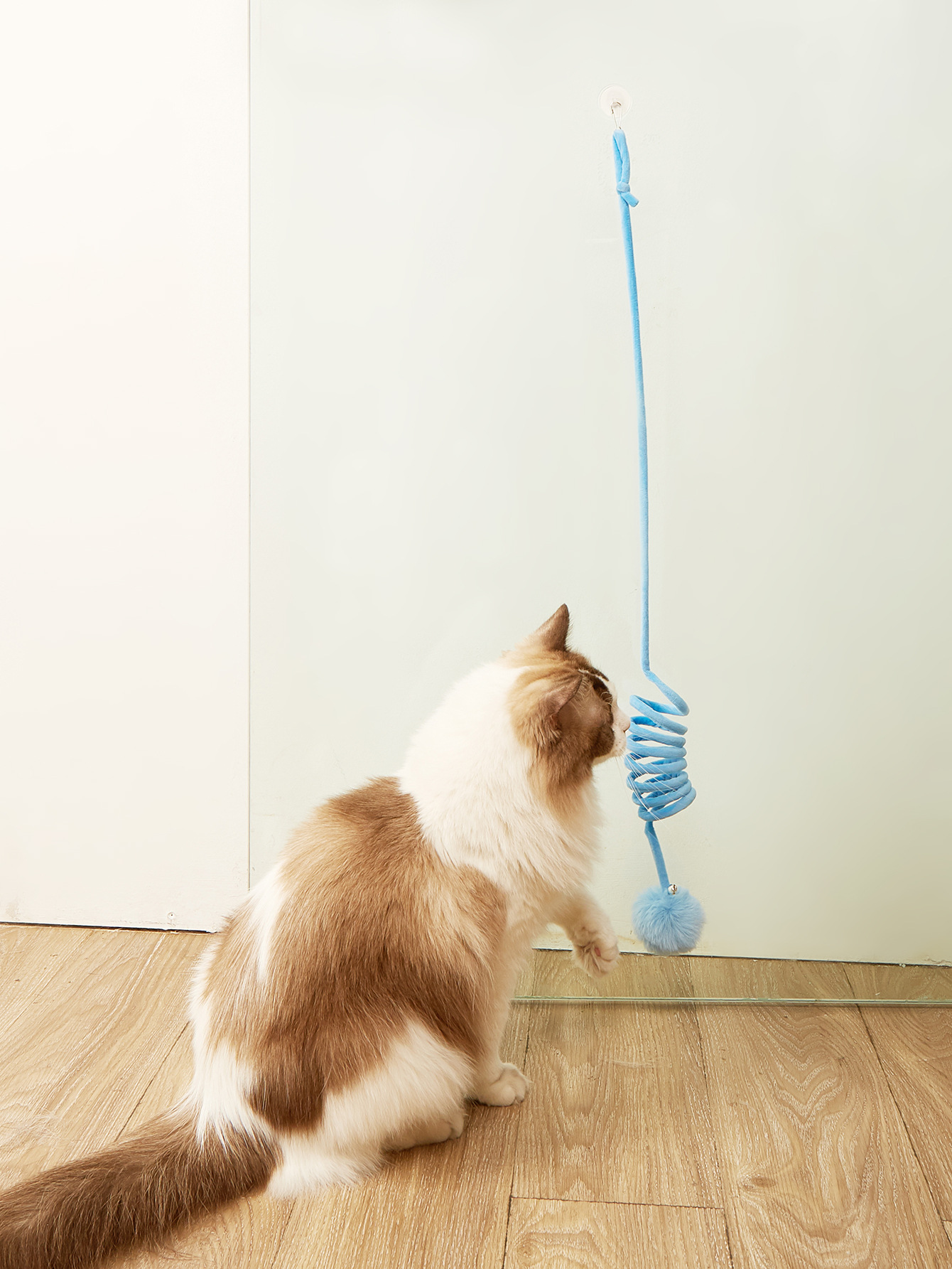 Wholesale of new cross-border pet products, including colorful plush cat spring cat toys, door-hanging suction cups, and cat toys pic 20