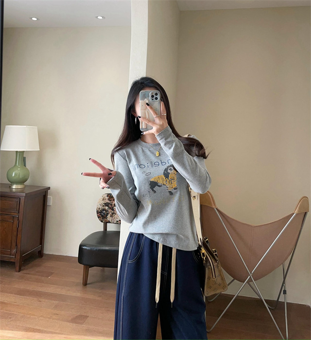 Playful and youthful embroidered printed puppy loose straight top straight-shoulder round-neck long-sleeved T-shirt for women 2025 early Spring G021418 pic 20