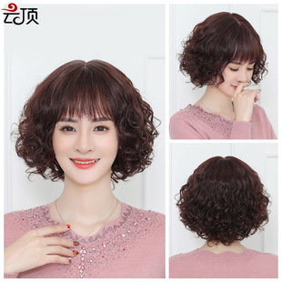 Wig for women with medium to long hair, French Internet celebrity, real hair, hair cover style, collarbone long straight hair, real hair cover factory wholesale pic 13