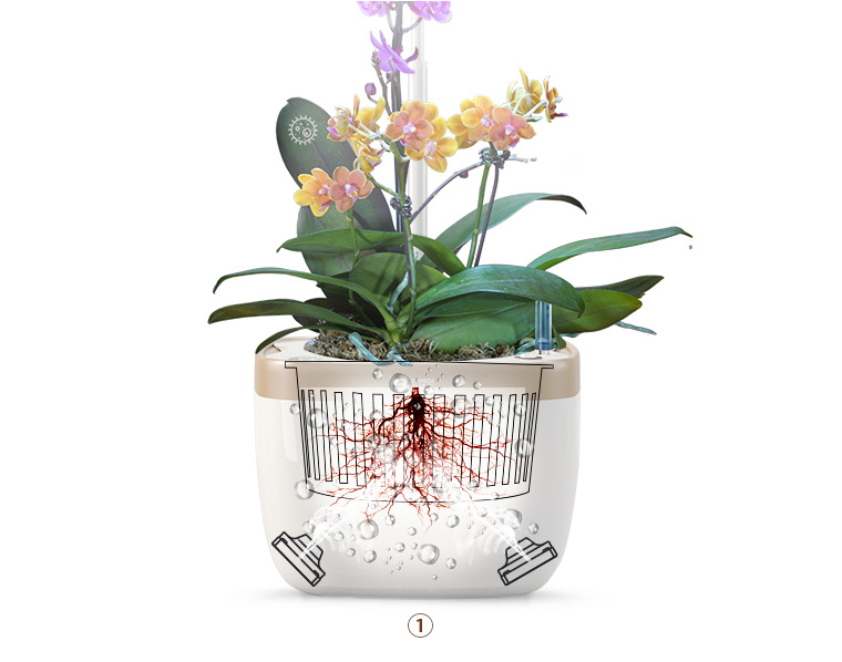 LAN Yuan Smart Flower POTS Office smart planting potted plants Creative flower POTS fully automatic flower POTS white pic 11