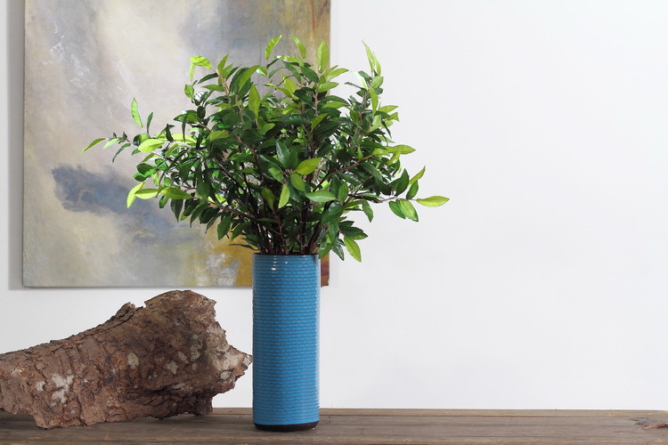 Dongli Factory direct sales, wholesale of olive leaf branches, artificial leaves, artificial leaves, Ins-style interior decoration, flower arrangement plants, wall accessories, artificial green plants pic 6