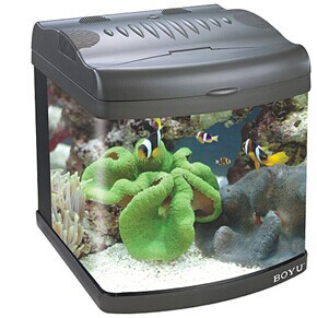 Supply Risheng Aquarium RS300A, Risheng series products, Baojie Aquarium Equipment wholesale pic 22