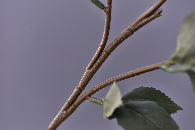 Factory wholesale of 5-head simulated rose with charred edges, retro Greek rose, living room, hotel and homestay photography props rose pic 9