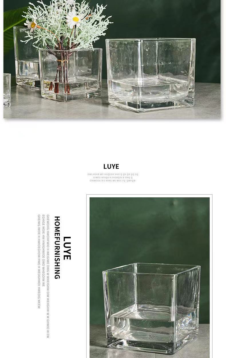 Glass square VAT, square glass flowerpot, hydroponic container, transparent multi-purpose square VAT, green vine plant, multi-functional hydroponic vase, fish tank pic 7